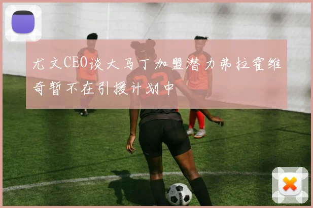 尤文CEO谈大马丁加盟潜力弗拉霍维奇暂不在引援计划中