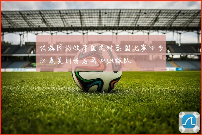 武磊因伤缺席国足对泰国比赛将专注康复训练后再回归球队